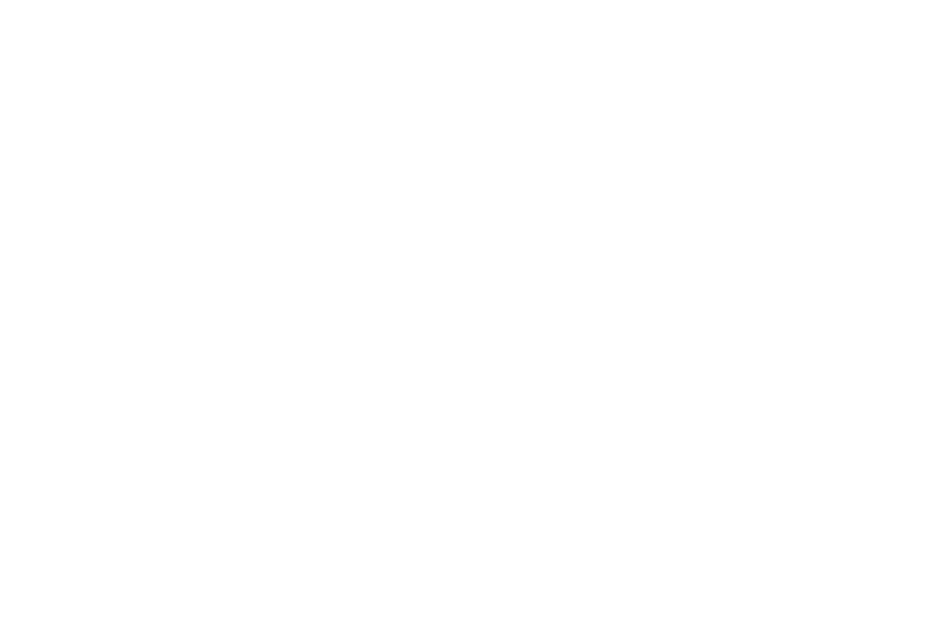 Animatiqua logó